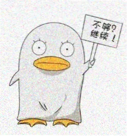 戴笑盈